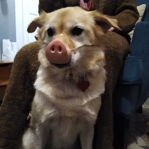 Meet your Posher, Ester